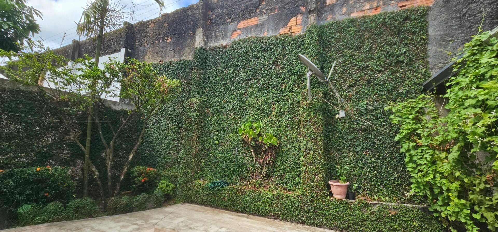 Casa, 3 quartos, 450 m² - Foto 63