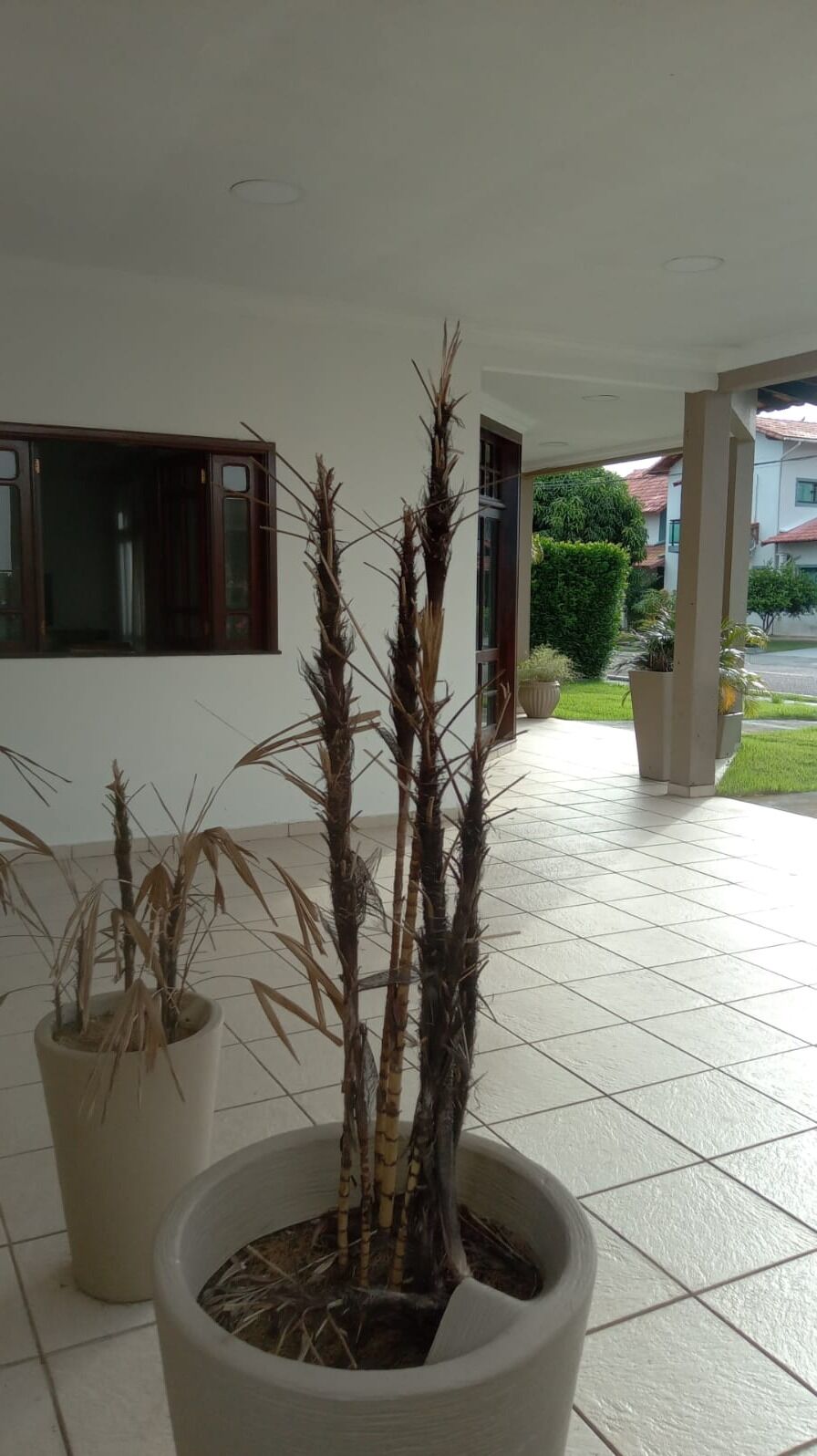Casa, 4 quartos, 200 m² - Foto 30