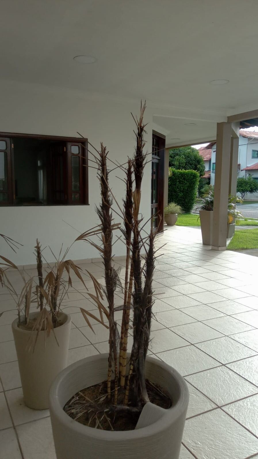 Casa, 4 quartos, 200 m² - Foto 29