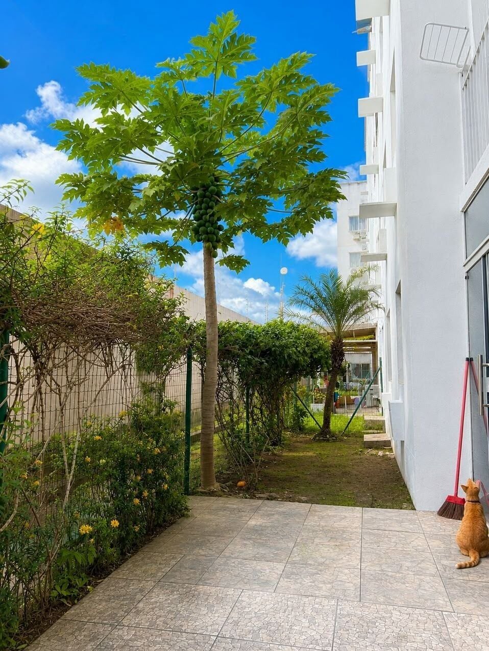 Apartamento, 2 quartos, 95 m² - Foto 18