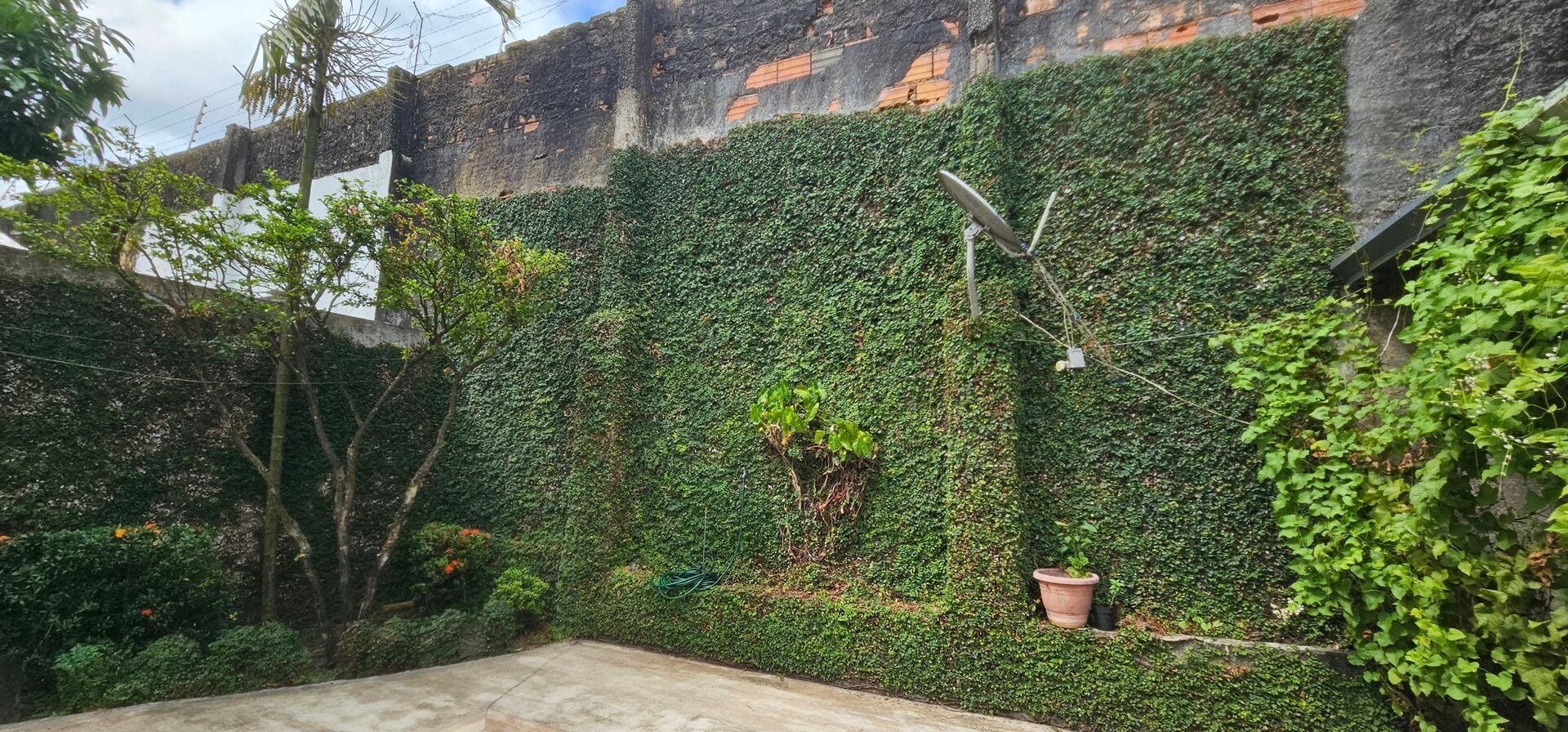Casa, 3 quartos, 450 m² - Foto 37
