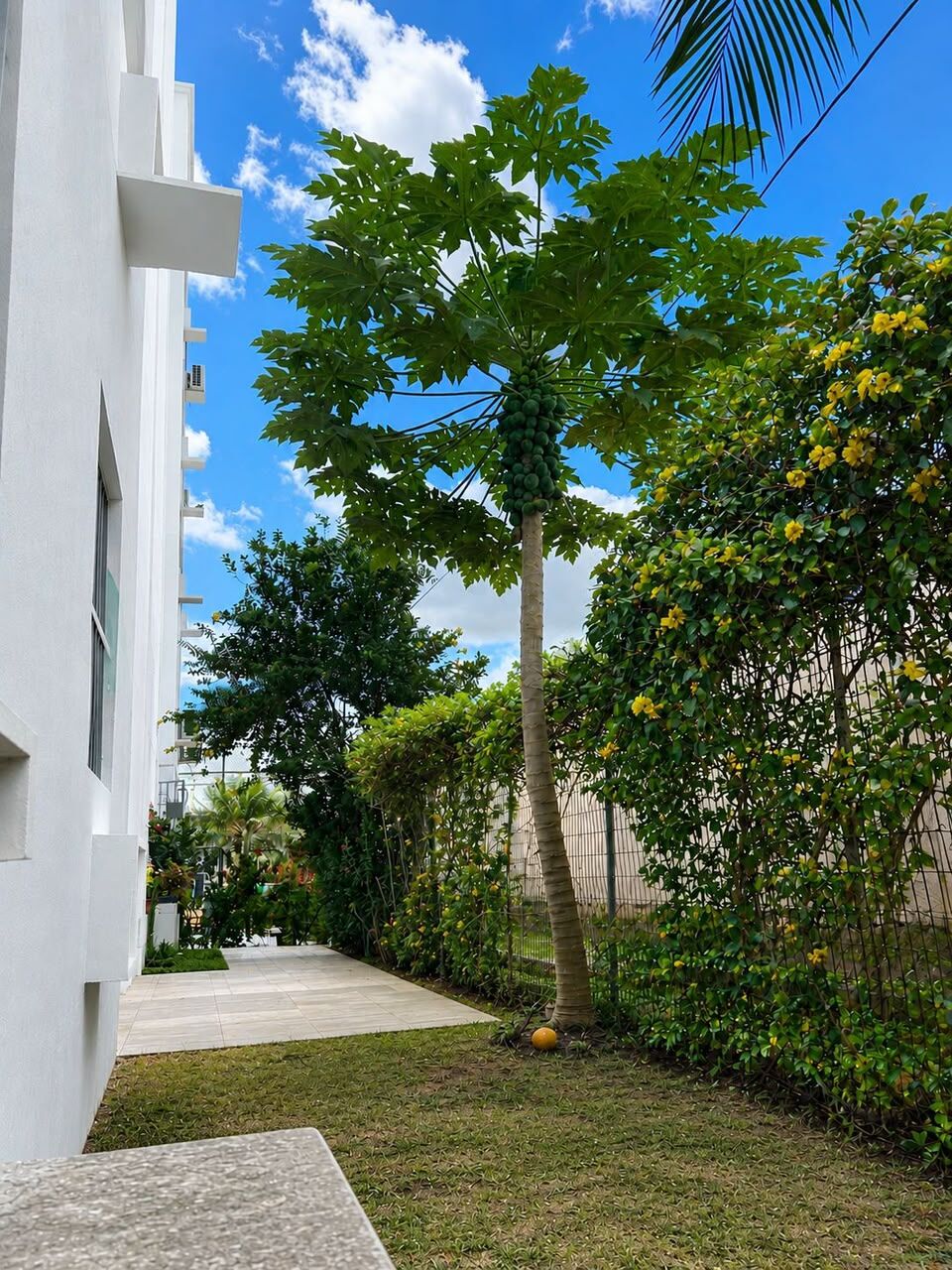 Apartamento, 2 quartos, 95 m² - Foto 10
