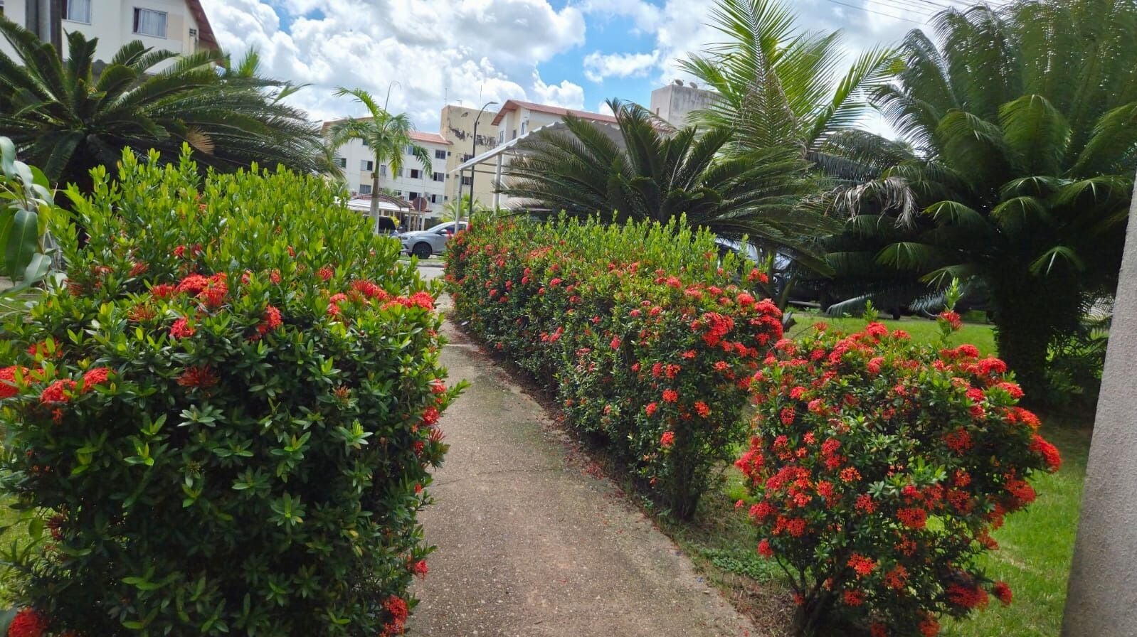 Apartamento, 2 quartos, 77 m² - Foto 50
