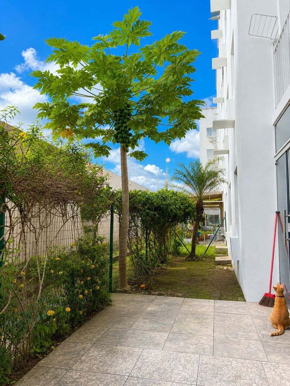 Apartamento, 2 quartos, 95 m² - Foto 22