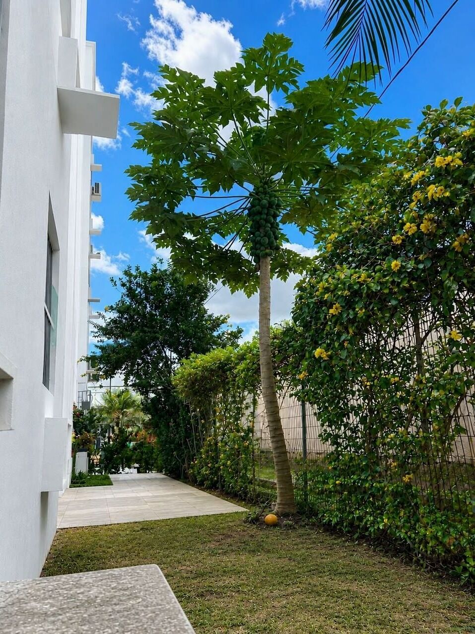 Apartamento, 2 quartos, 95 m² - Foto 15