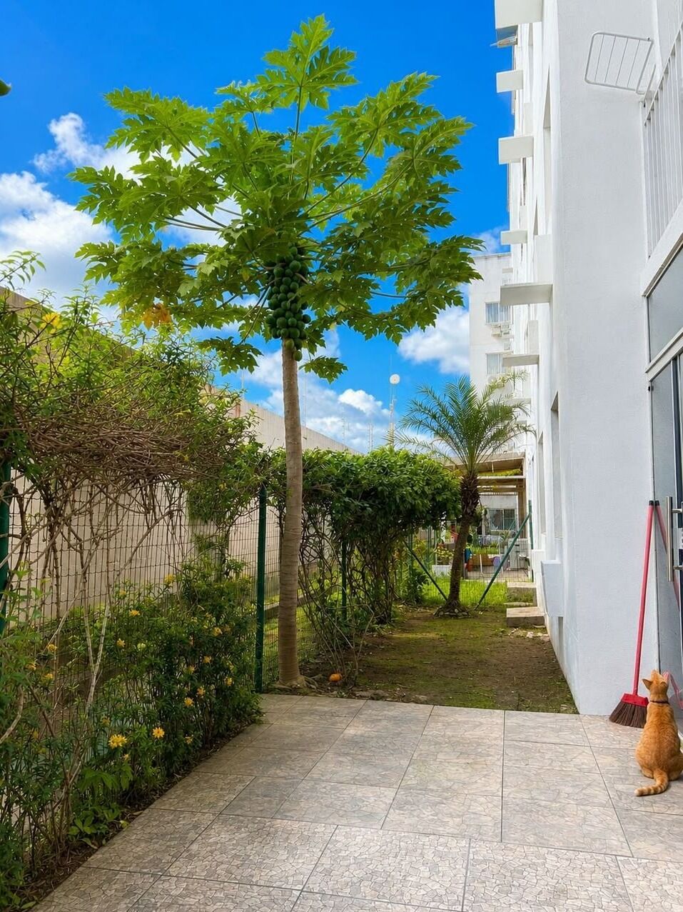 Apartamento, 2 quartos, 95 m² - Foto 23