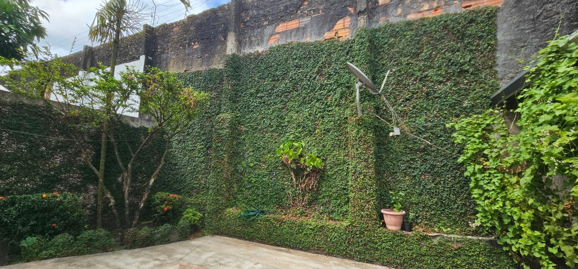 Casa, 3 quartos, 450 m² - Foto 23