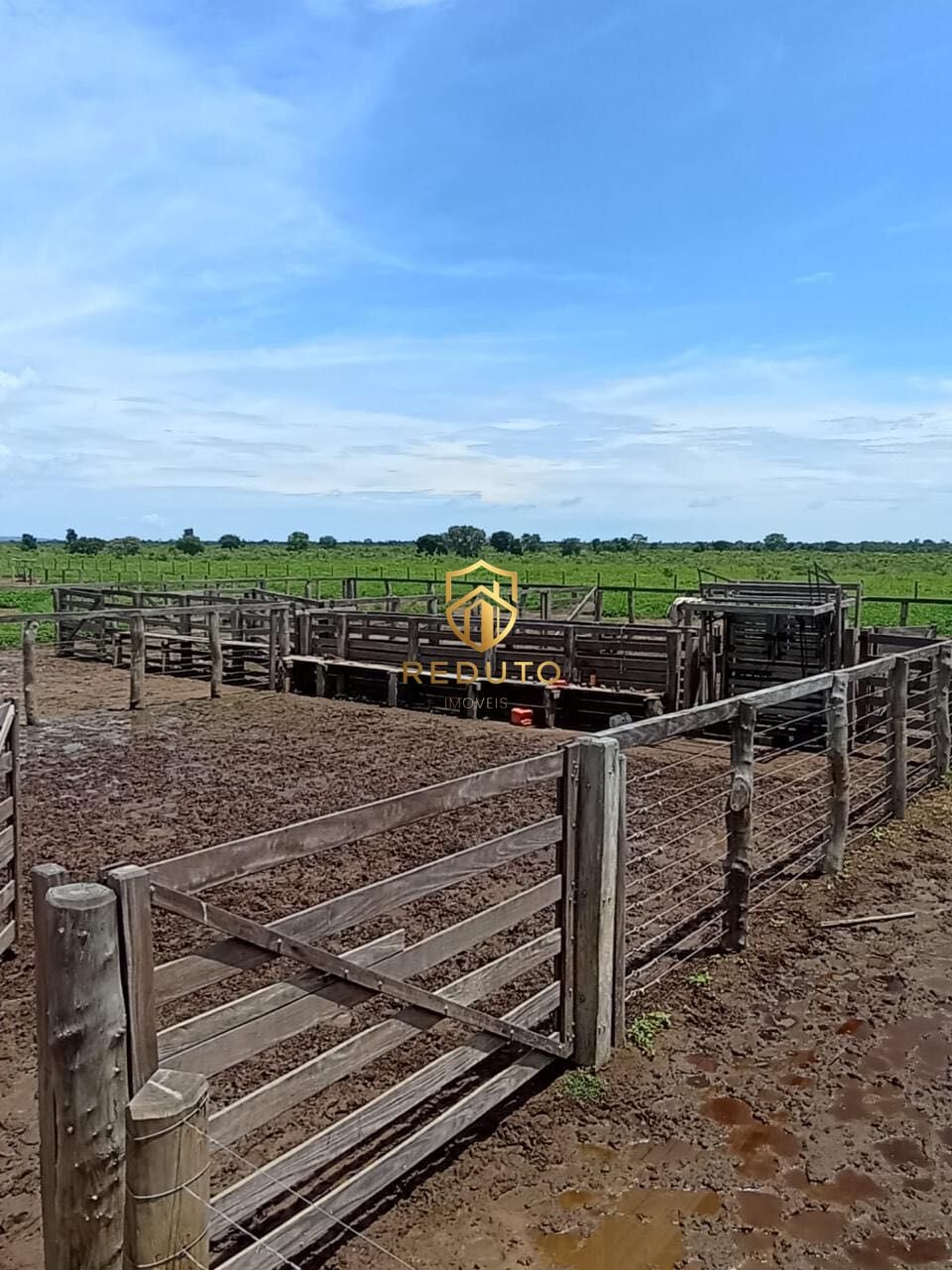 Fazenda - Foto 5