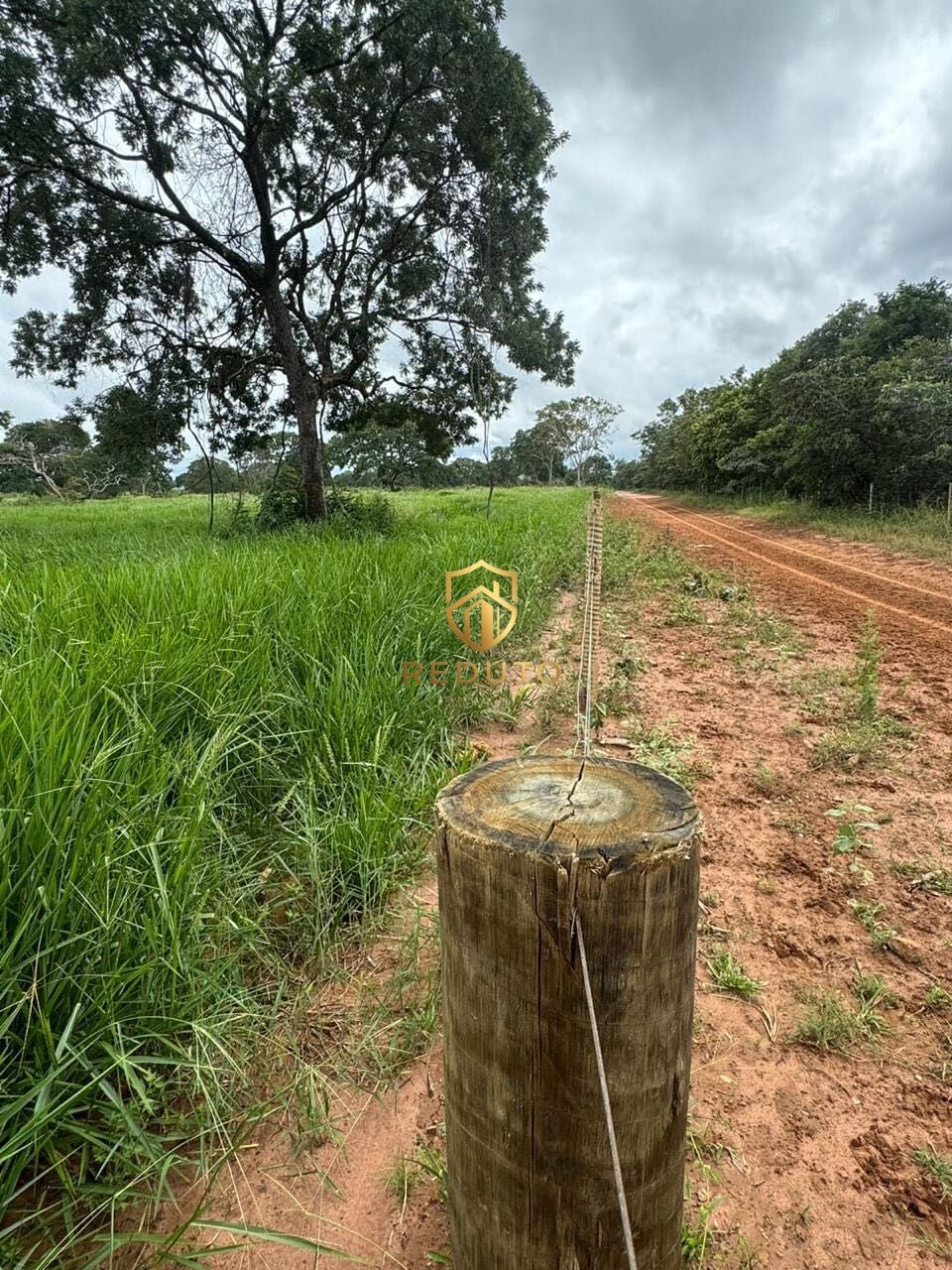 Fazenda - Foto 5