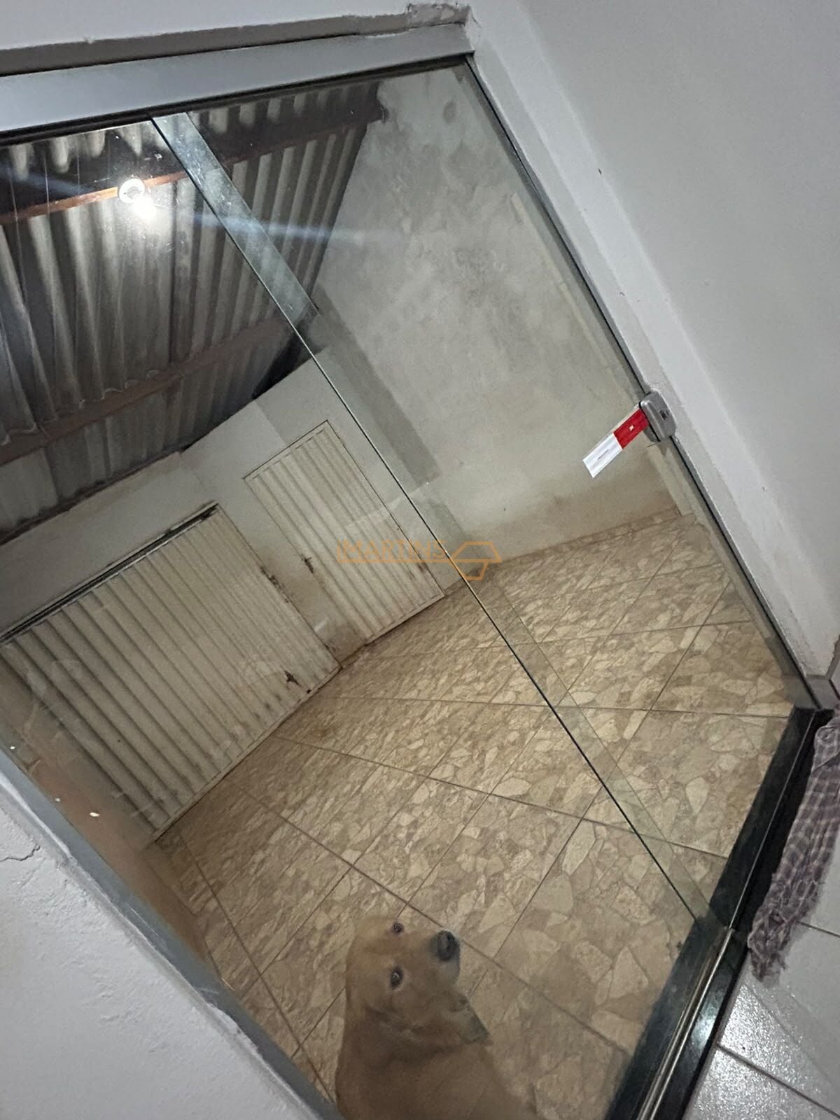 Casa, 3 quartos, 555 m² - Foto 4