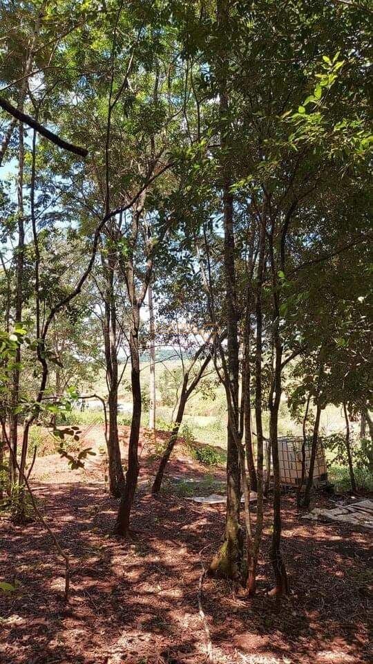 Chácara, 500 m² - Foto 21