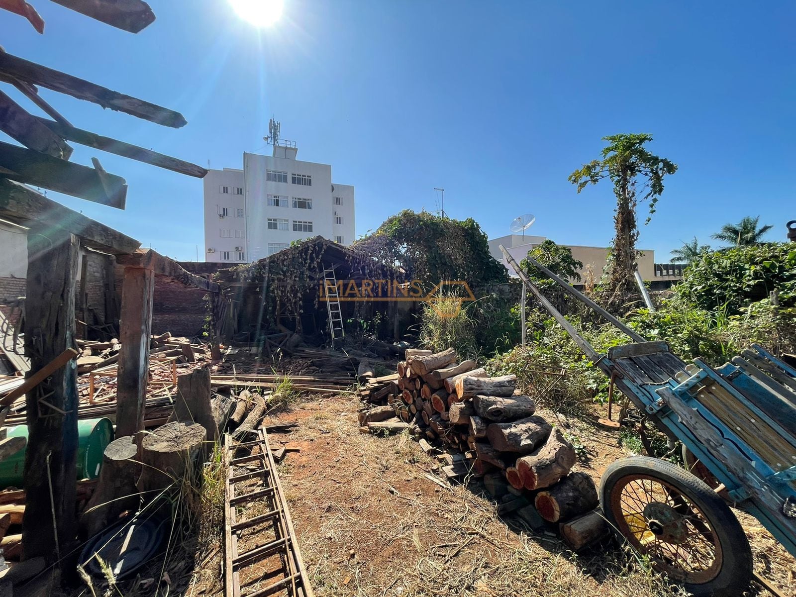 Loja-Salão, 1000 m² - Foto 4