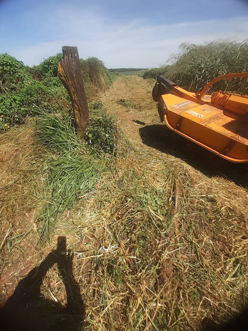 Terreno, 2 hectares - Foto 7