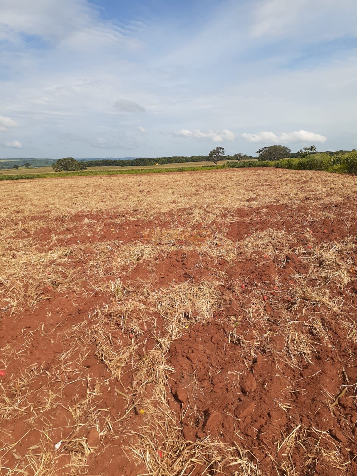 Terreno, 2 hectares - Foto 11
