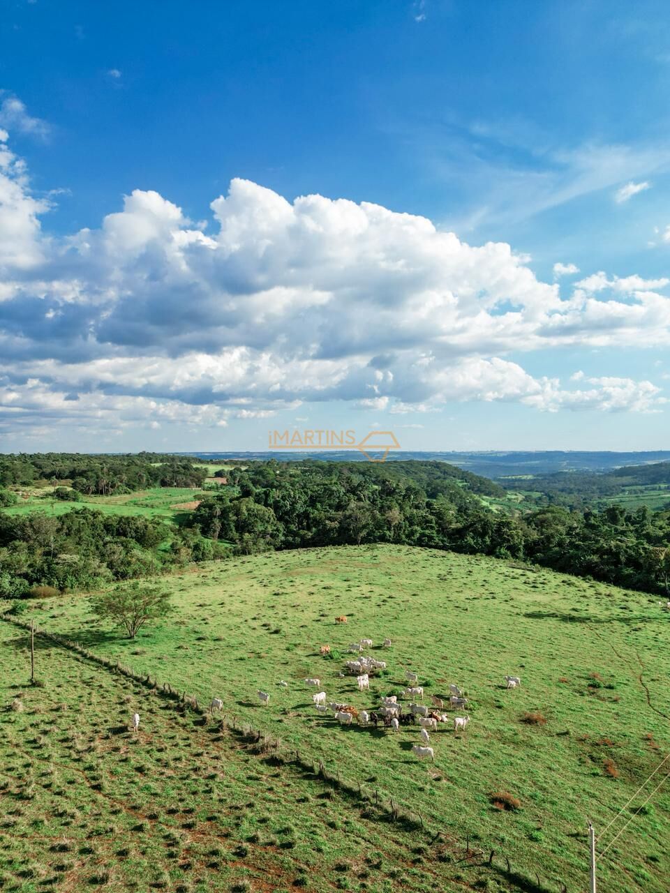 Terreno, 48 hectares - Foto 26