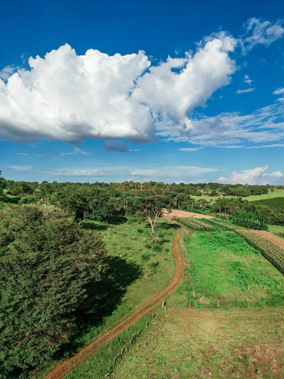 Terreno, 48 hectares - Foto 16