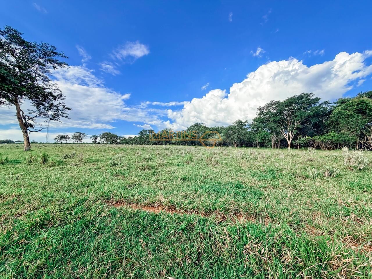 Terreno, 48 hectares - Foto 14