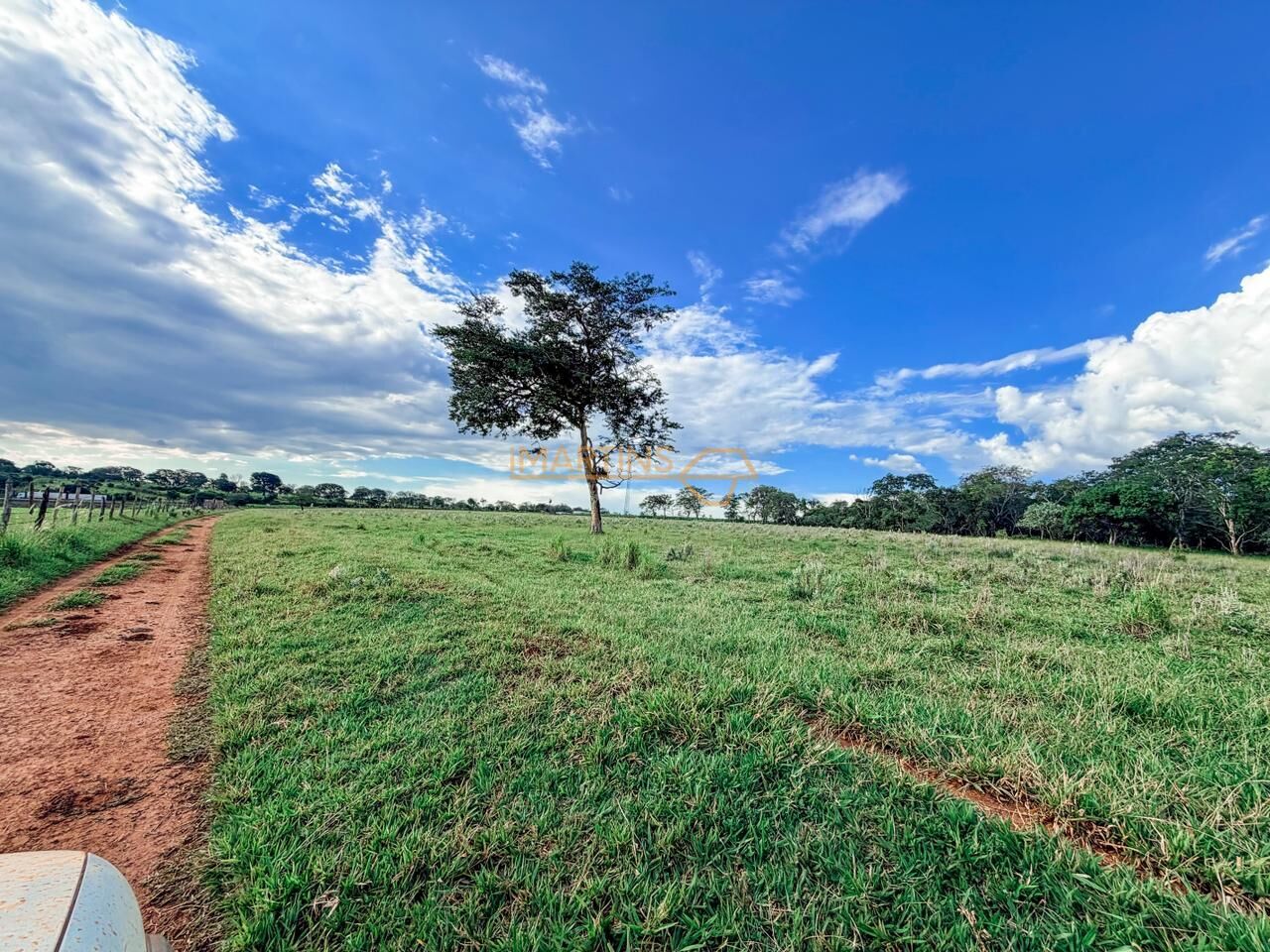 Terreno, 48 hectares - Foto 12