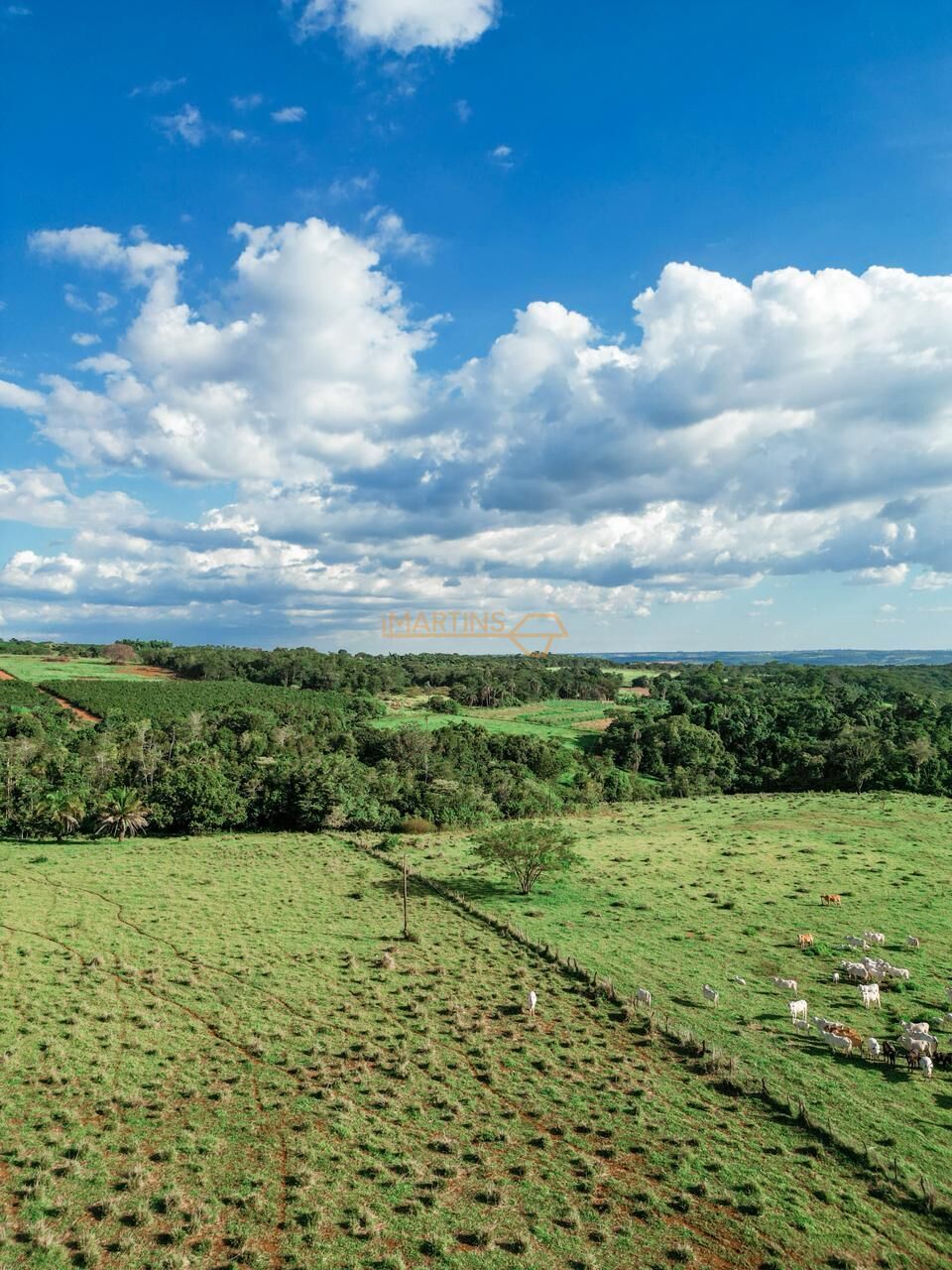Terreno, 48 hectares - Foto 3