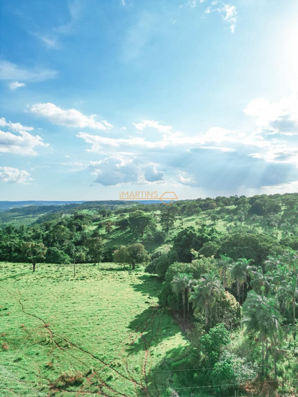 Terreno, 48 hectares - Foto 17