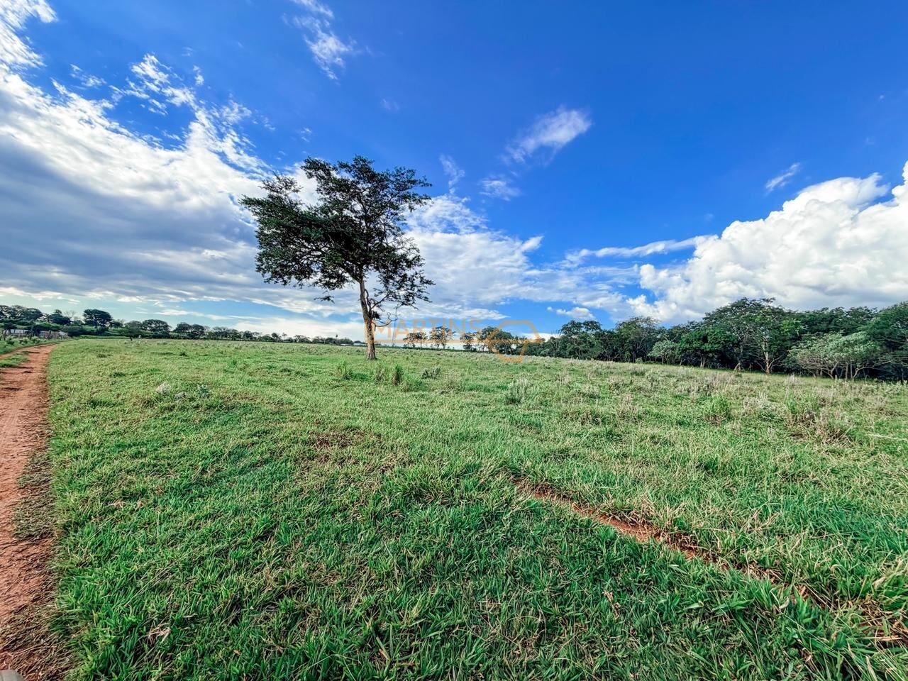 Terreno, 48 hectares - Foto 24