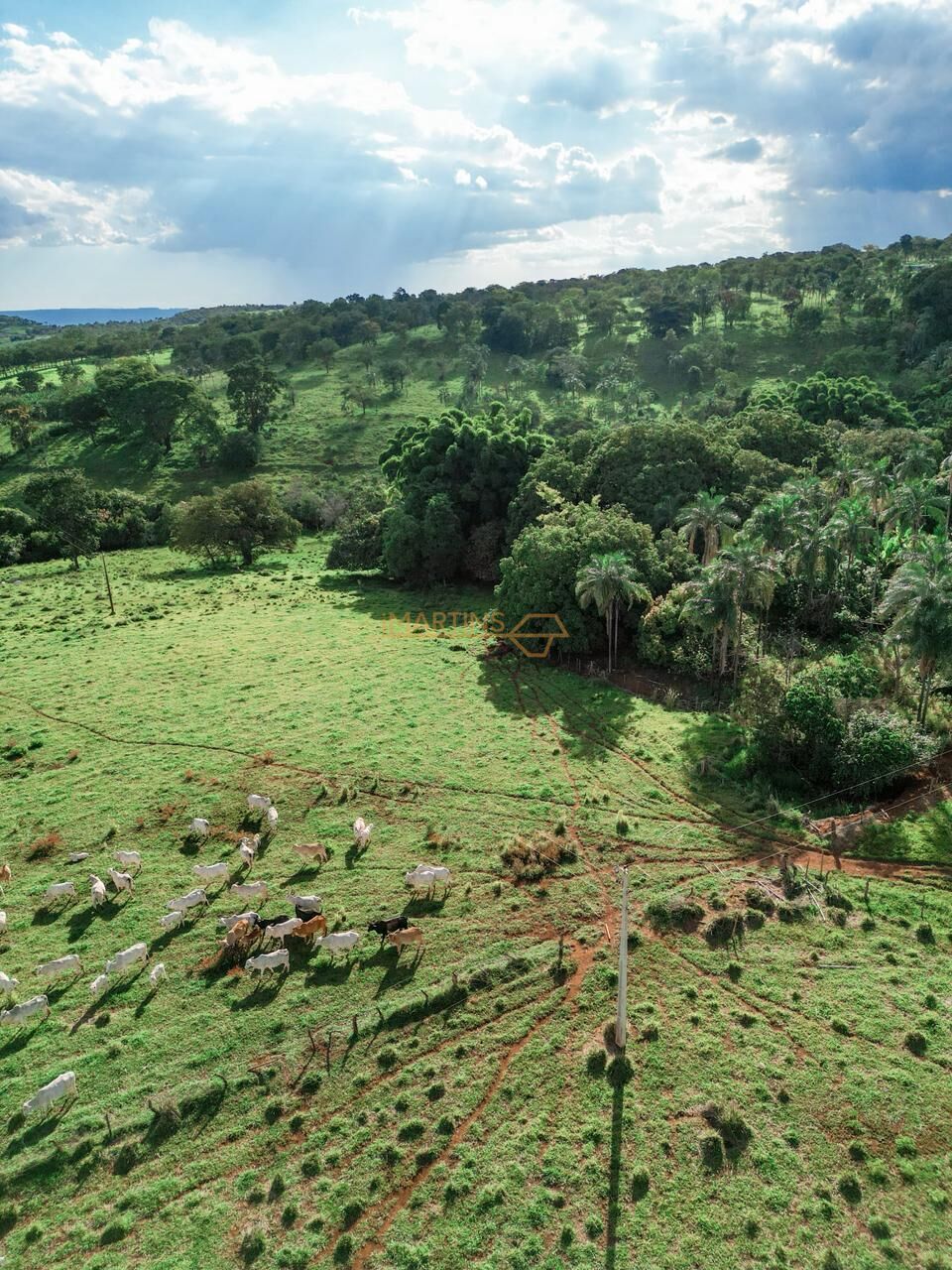 Terreno, 48 hectares - Foto 8