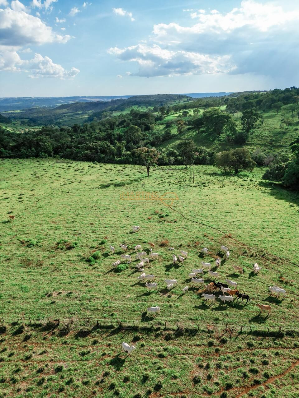 Terreno, 48 hectares - Foto 6