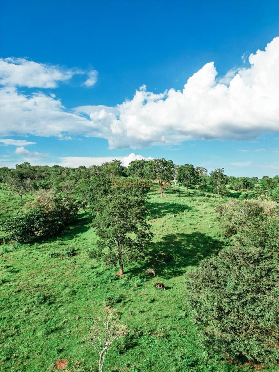 Terreno, 48 hectares - Foto 28