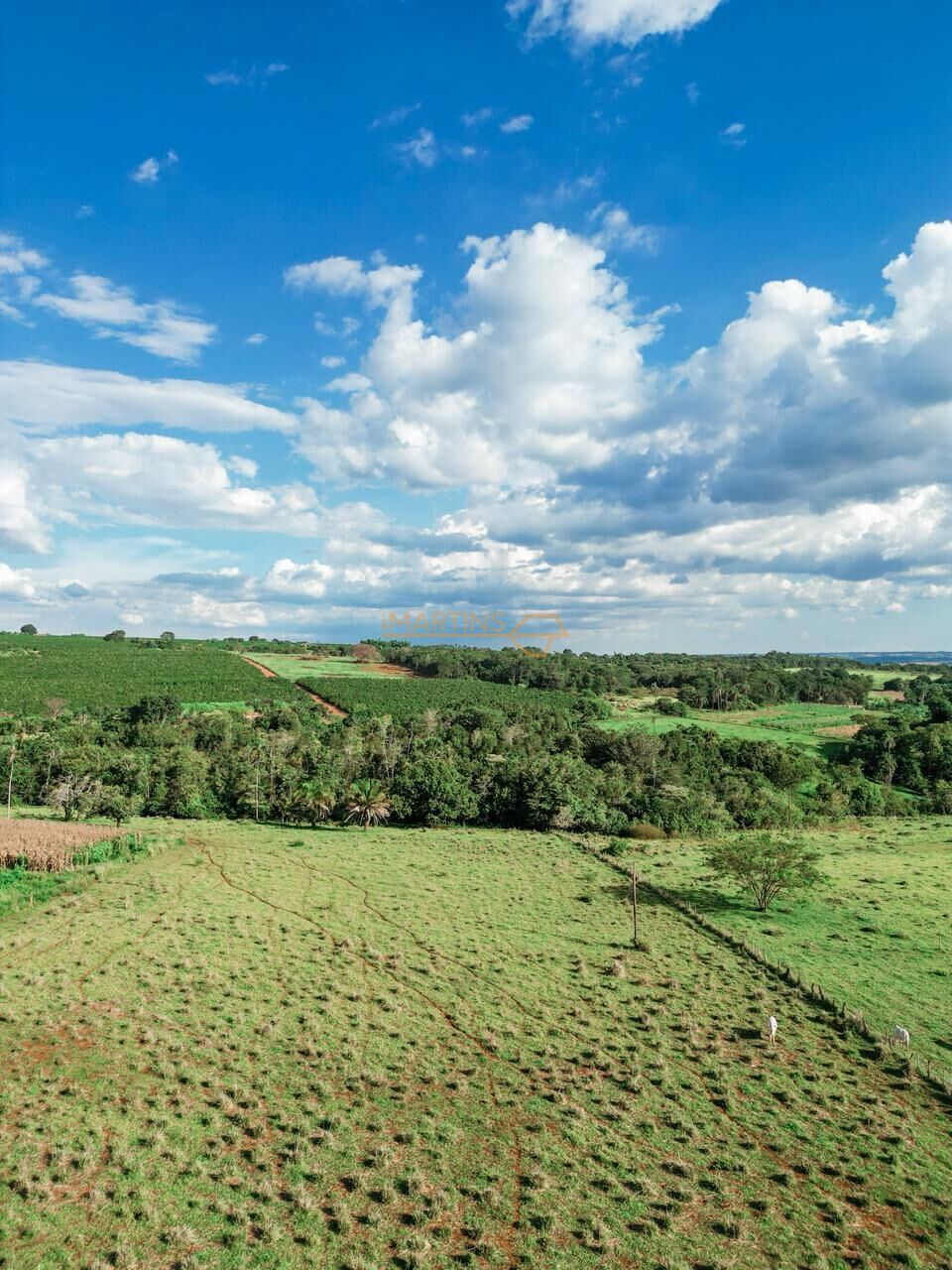 Terreno, 48 hectares - Foto 19