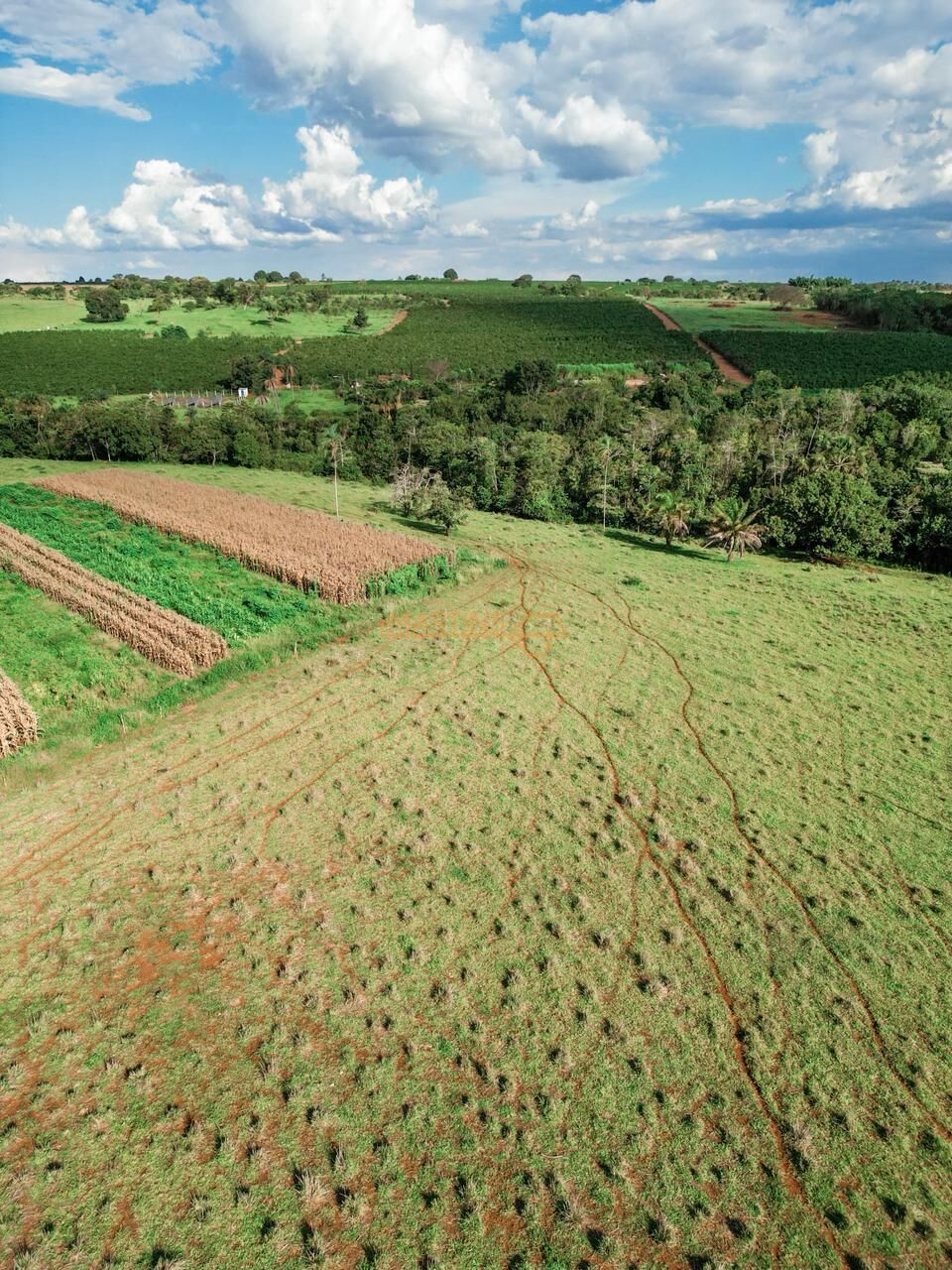 Terreno, 48 hectares - Foto 20