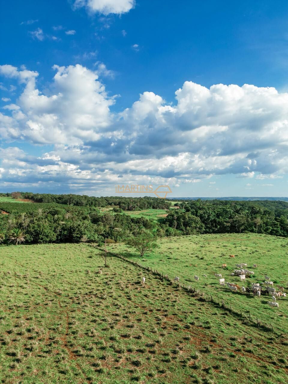 Terreno, 48 hectares - Foto 4