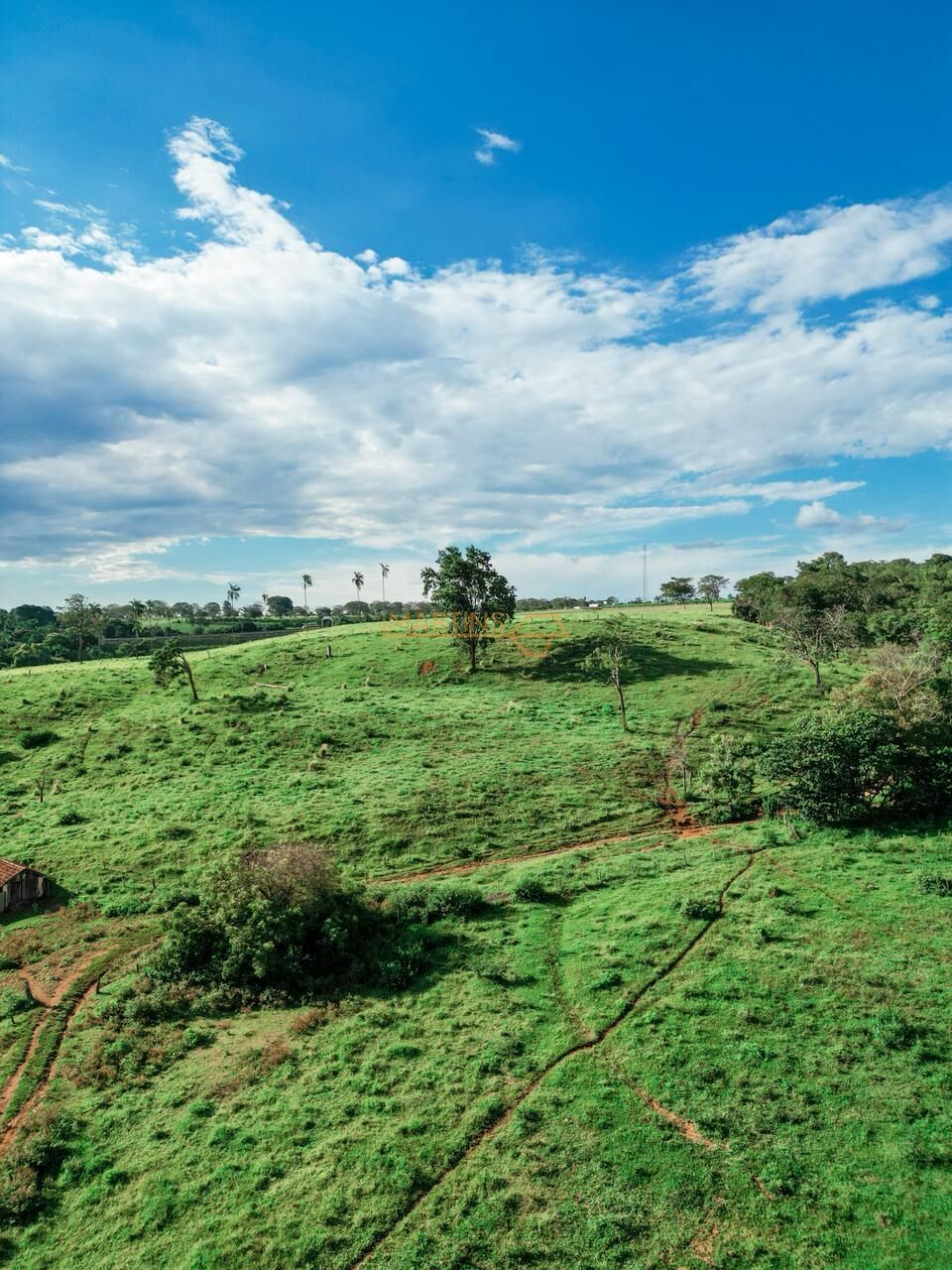 Terreno, 48 hectares - Foto 29