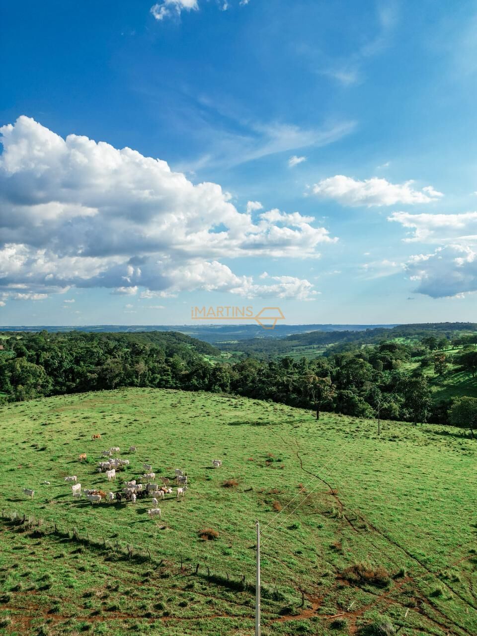 Terreno, 48 hectares - Foto 10