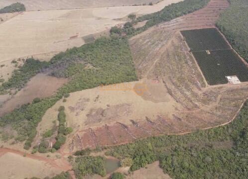Chácara, 5555 m² - Foto 11