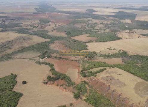 Chácara, 5555 m² - Foto 12