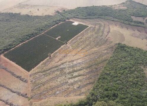 Chácara, 5555 m² - Foto 5
