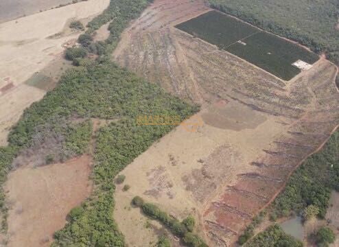 Chácara, 5555 m² - Foto 8