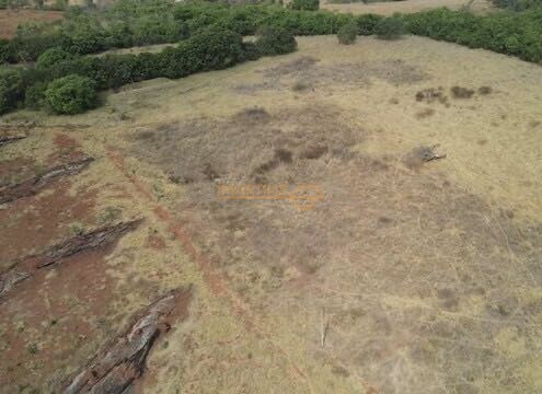 Chácara, 5555 m² - Foto 16