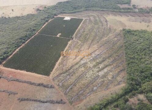 Chácara, 5555 m² - Foto 6