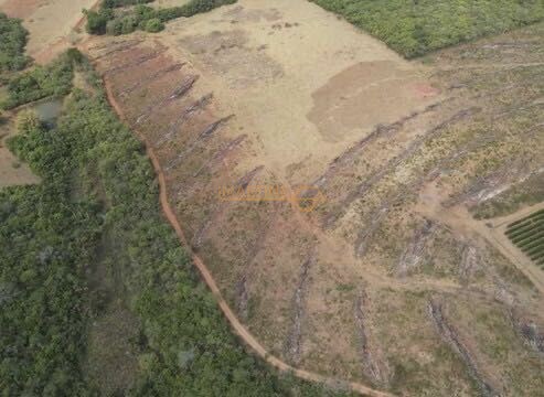 Chácara, 5555 m² - Foto 13