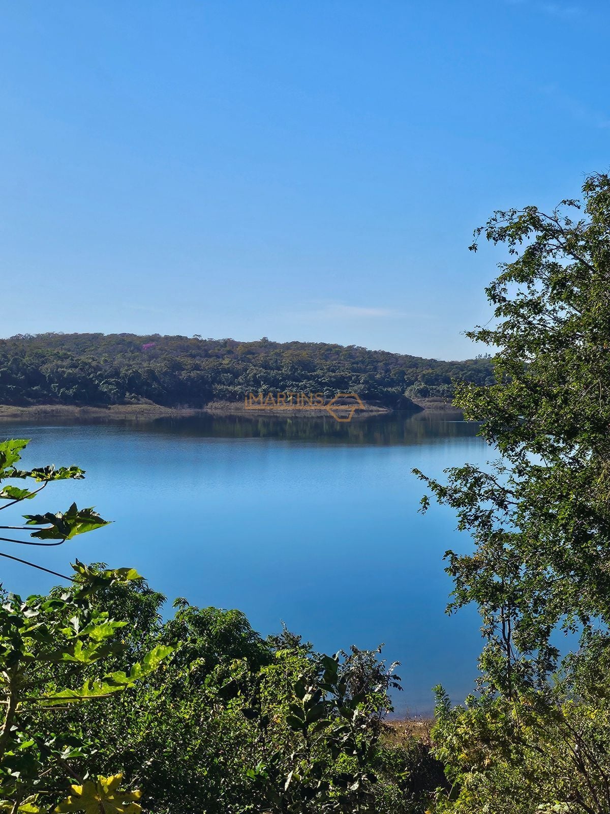 Fazenda, 2100 m² - Foto 6