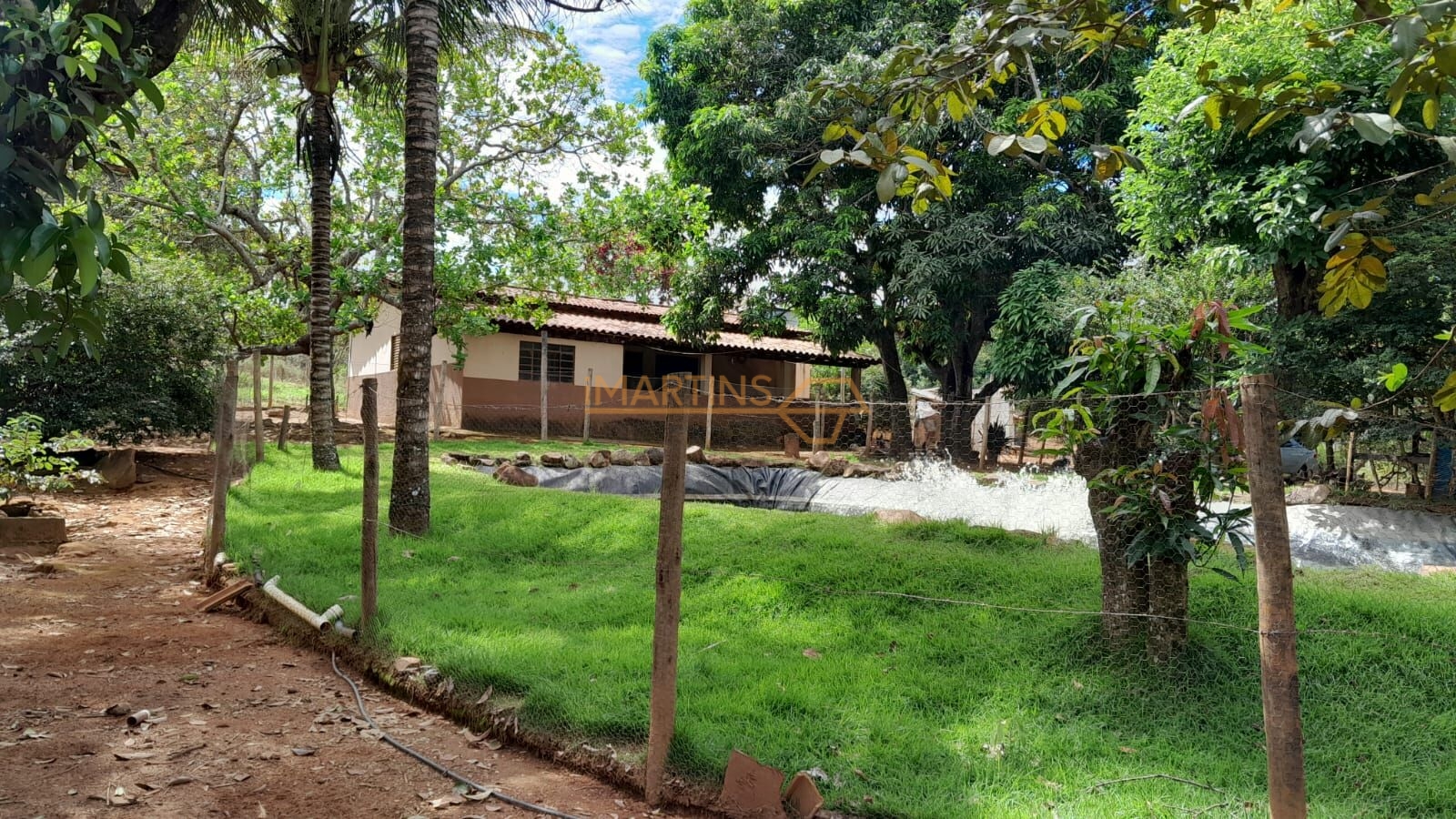 Sítio, 1 quarto, 3400 m² - Foto 6