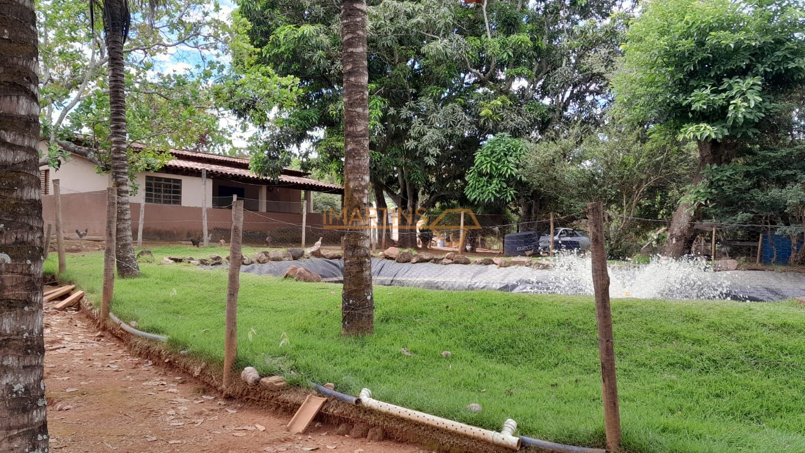 Sítio, 1 quarto, 3400 m² - Foto 5