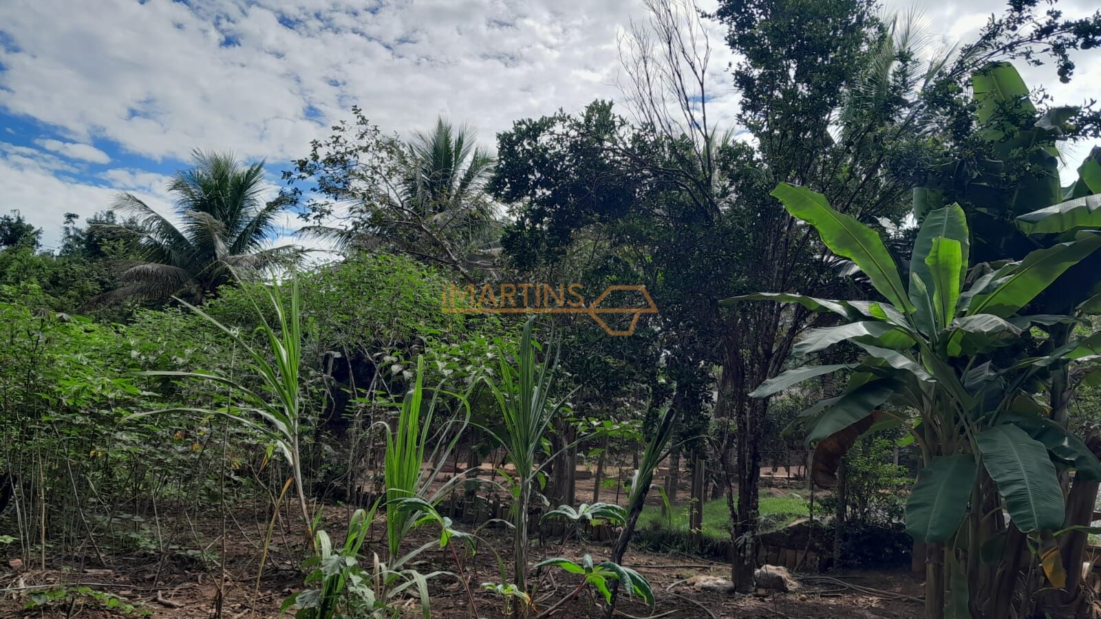 Sítio, 1 quarto, 3400 m² - Foto 15