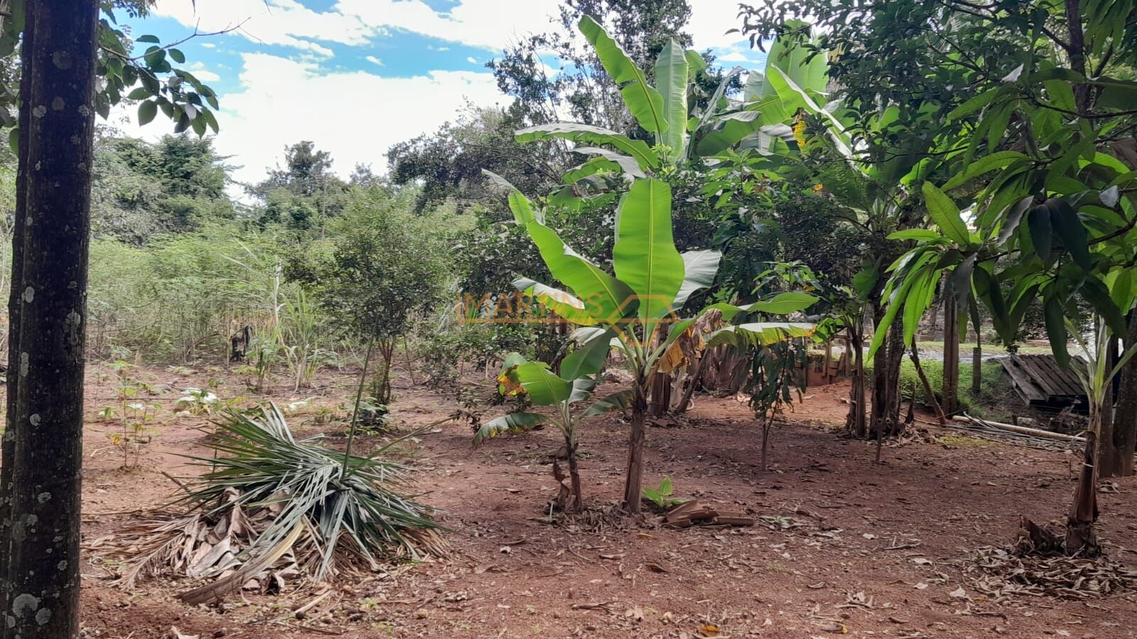Sítio, 1 quarto, 3400 m² - Foto 13