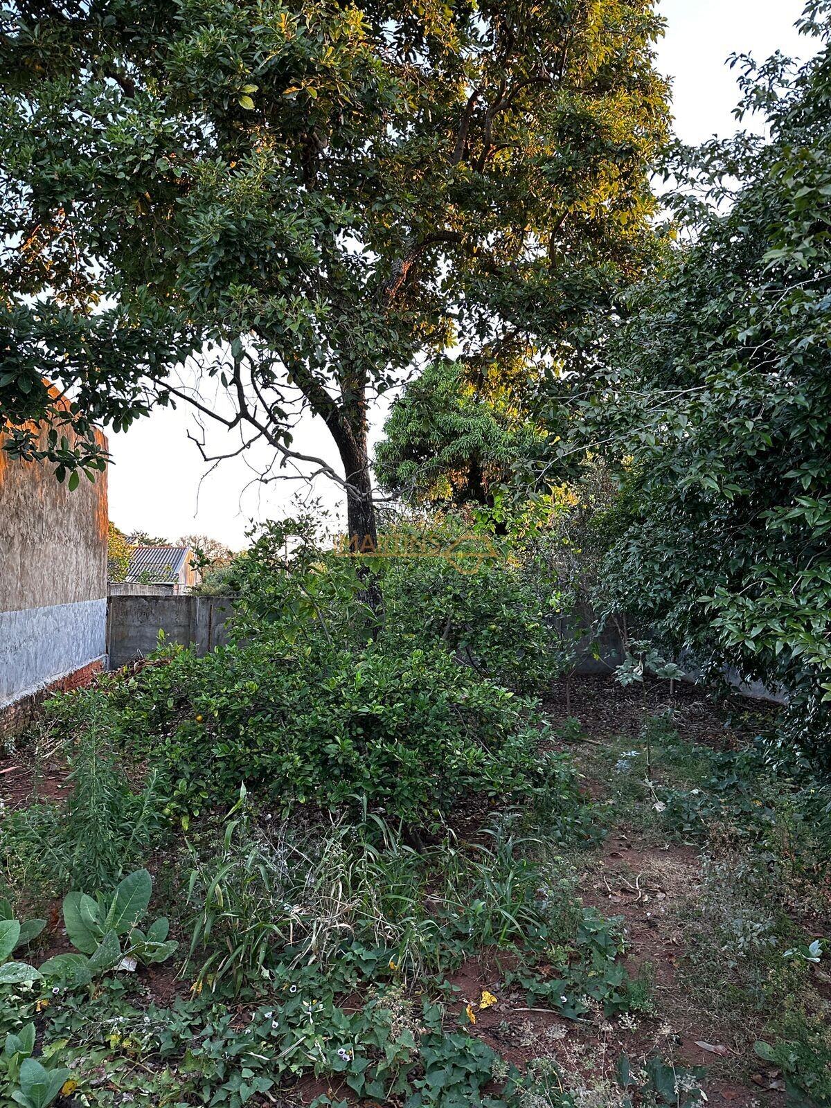 Terreno, 600 m² - Foto 4