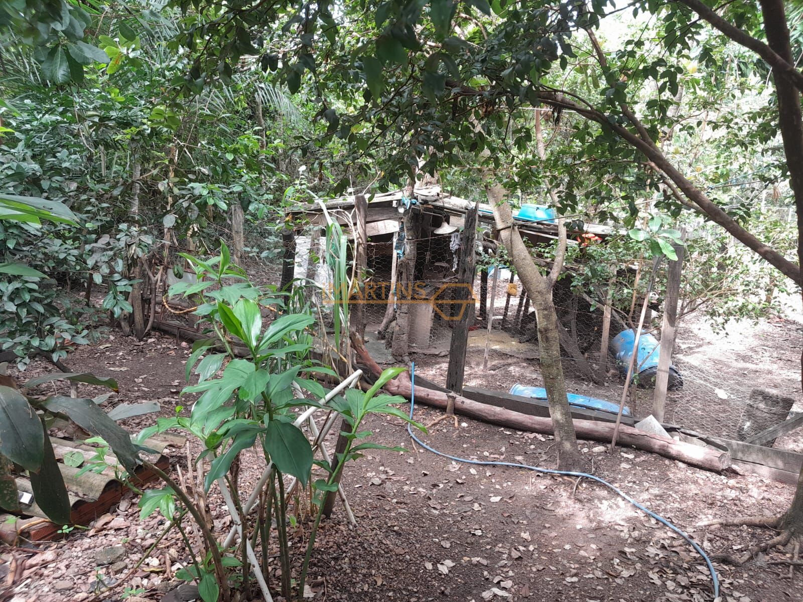 Chácara, 3 quartos, 700 m² - Foto 4