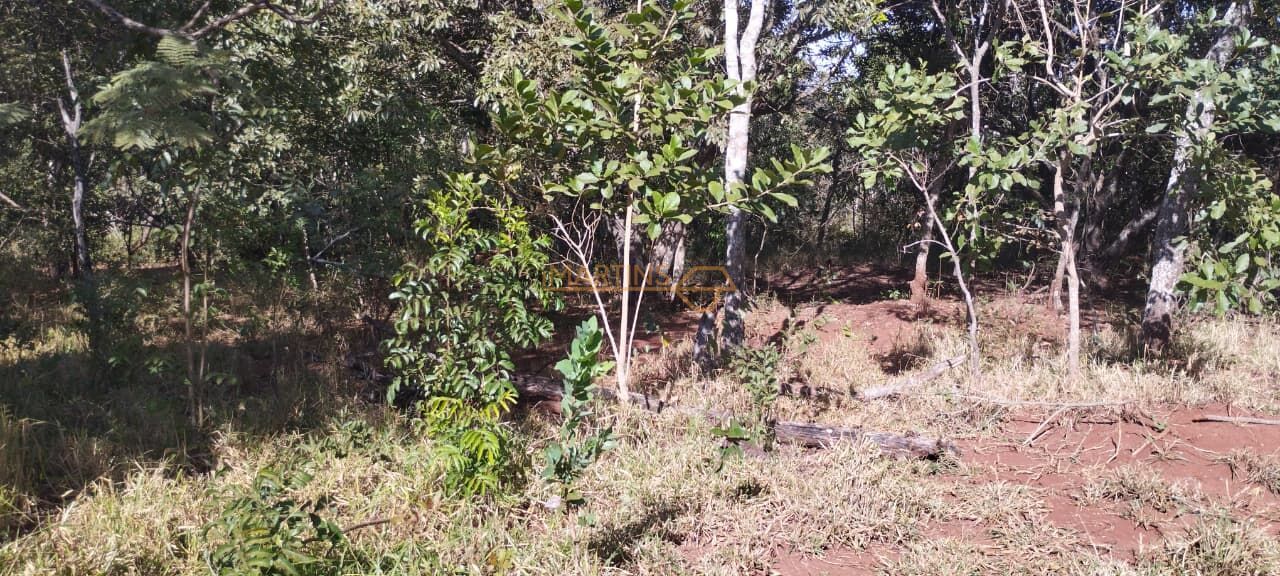 Fazenda, 5 hectares - Foto 9