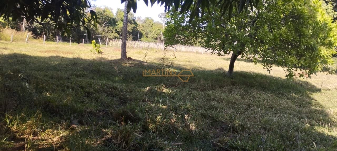 Fazenda, 5 hectares - Foto 4