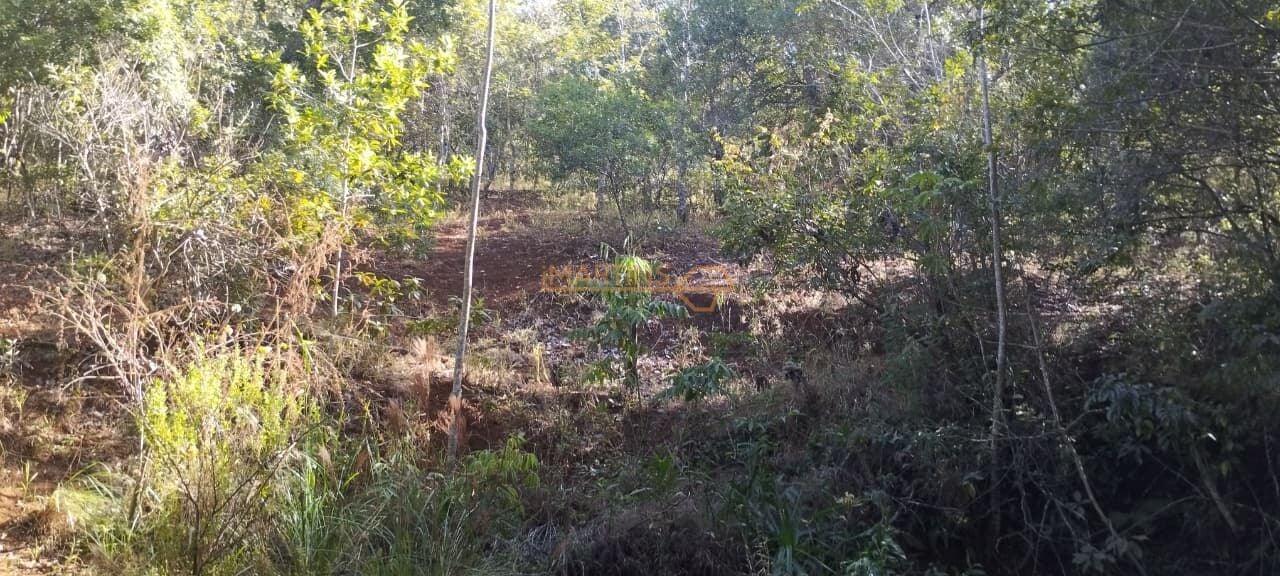 Fazenda, 5 hectares - Foto 8